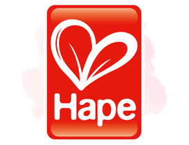 Hape Baby & Kinder Spielzeug